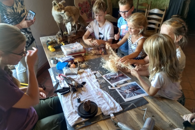 Zet hem op, de Vlaamse gaai