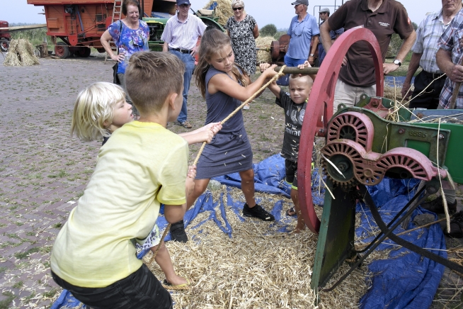 Oogstfeest 2019
