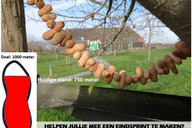 Inleverpunten pindaslinger