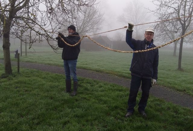 Werelds langste pindaketting