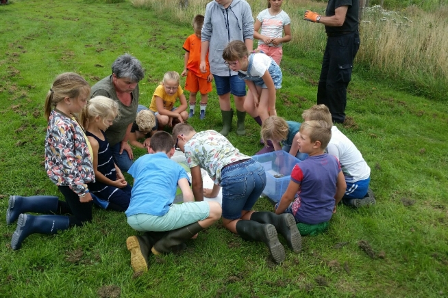 Wat leeft er in de sloot